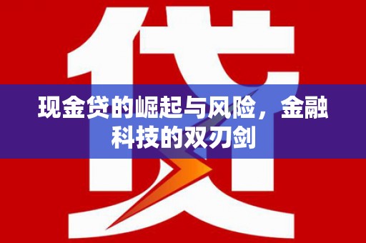 南州现金贷的崛起与风险，金融科技的双刃剑