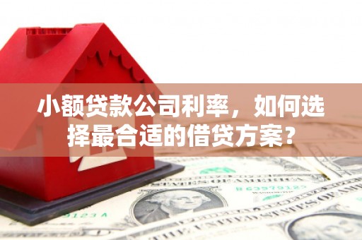 南州小额贷款公司利率，如何选择最合适的借贷方案？