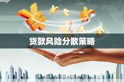 南州贷款风险分散策略