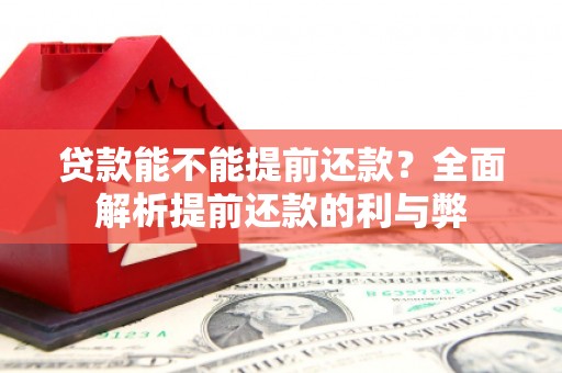南州贷款能不能提前还款？全面解析提前还款的利与弊