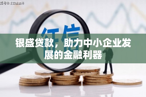 南州银盛贷款，助力中小企业发展的金融利器