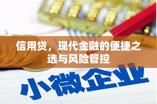 南州信用贷，现代金融的便捷之选与风险管控