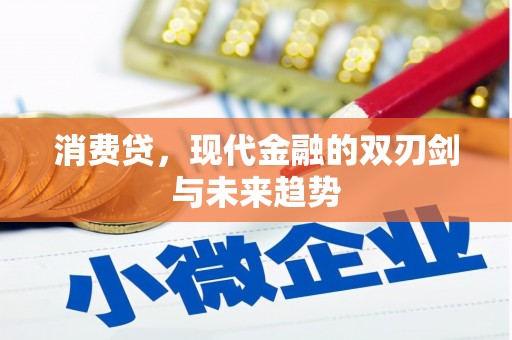 南州消费贷，现代金融的双刃剑与未来趋势