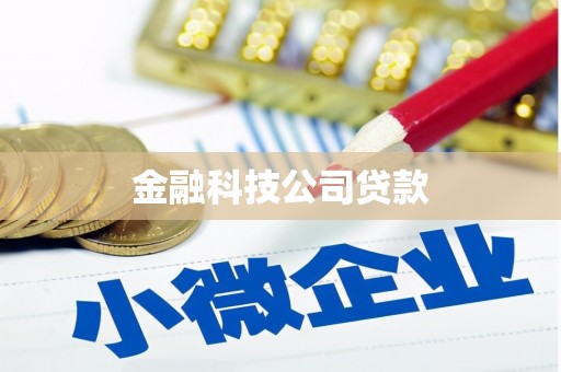 南州金融科技公司贷款