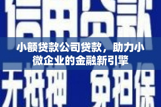 南州小额贷款公司贷款，助力小微企业的金融新引擎