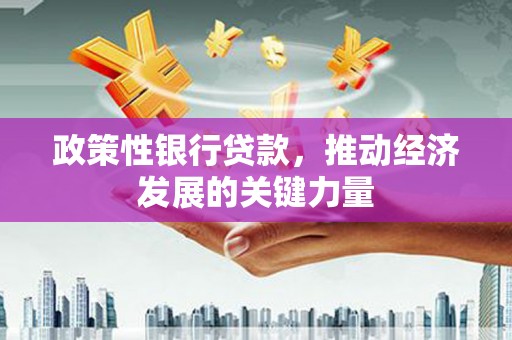 南州政策性银行贷款，推动经济发展的关键力量