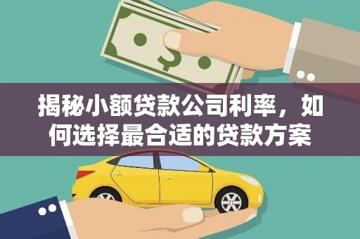 南州揭秘小额贷款公司利率，如何选择最合适的贷款方案