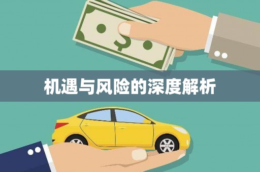 南州机遇与风险的深度解析