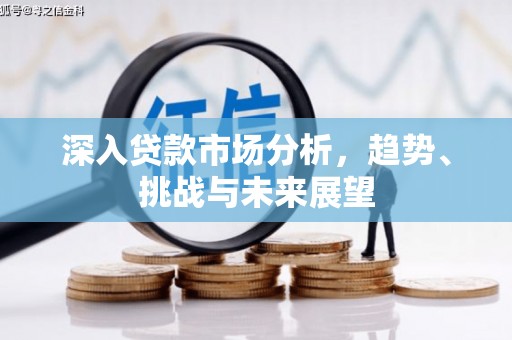 南州深入贷款市场分析，趋势、挑战与未来展望