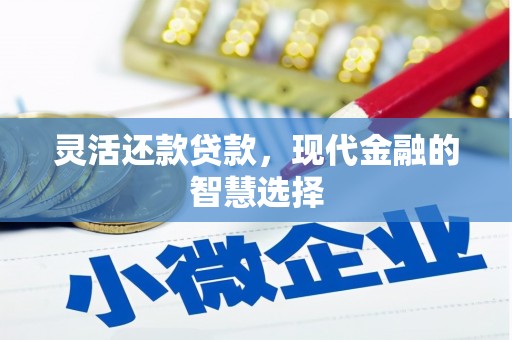 南州灵活还款贷款，现代金融的智慧选择