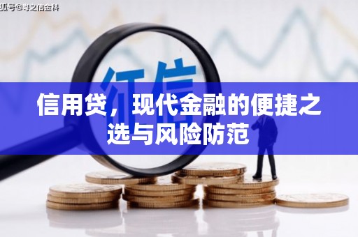 南州信用贷，现代金融的便捷之选与风险防范