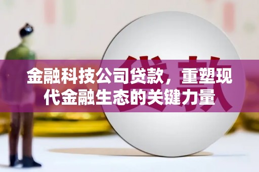 南州金融科技公司贷款，重塑现代金融生态的关键力量
