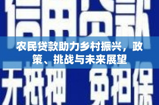 南州农民贷款助力乡村振兴，政策、挑战与未来展望