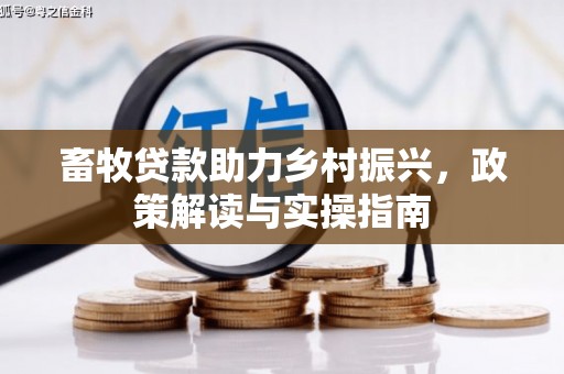 南州畜牧贷款助力乡村振兴，政策解读与实操指南
