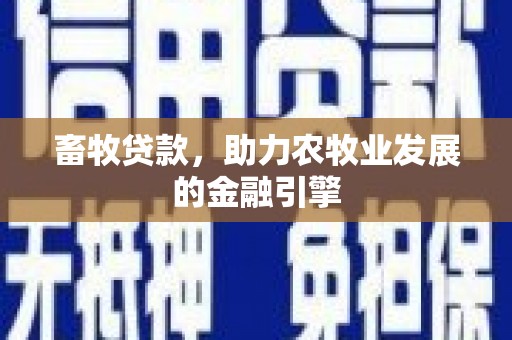 南州畜牧贷款，助力农牧业发展的金融引擎