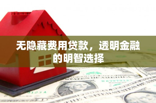 南州无隐藏费用贷款，透明金融的明智选择