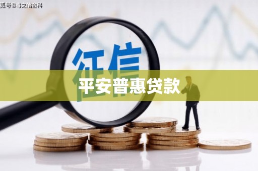 南州平安普惠贷款
