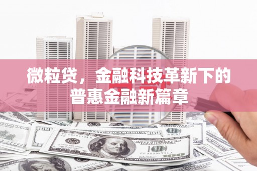 南州微粒贷，金融科技革新下的普惠金融新篇章