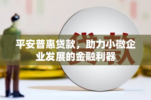 南州平安普惠贷款，助力小微企业发展的金融利器