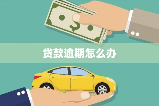 南州贷款逾期怎么办