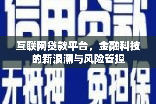 南州互联网贷款平台，金融科技的新浪潮与风险管控