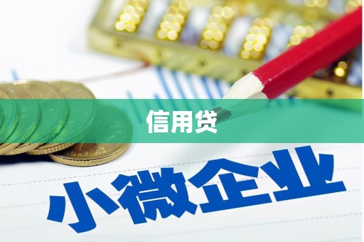 南州信用贷