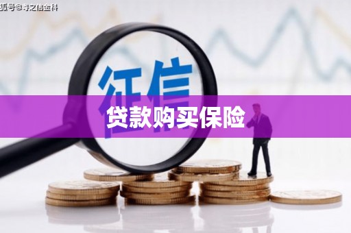 南州贷款购买保险