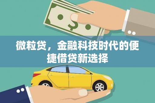南州微粒贷，金融科技时代的便捷借贷新选择