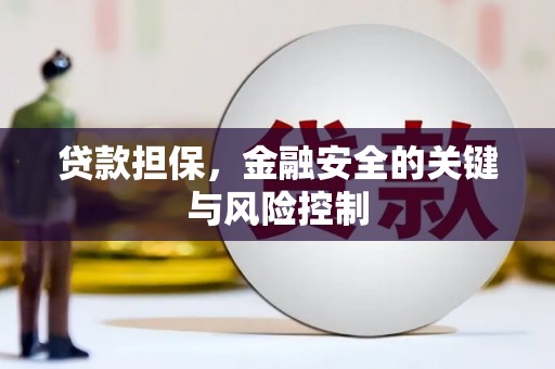 南州贷款担保，金融安全的关键与风险控制