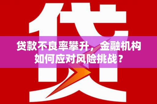 南州贷款不良率攀升，金融机构如何应对风险挑战？