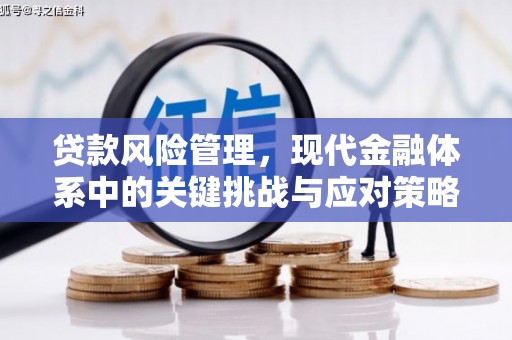 南州贷款风险管理，现代金融体系中的关键挑战与应对策略