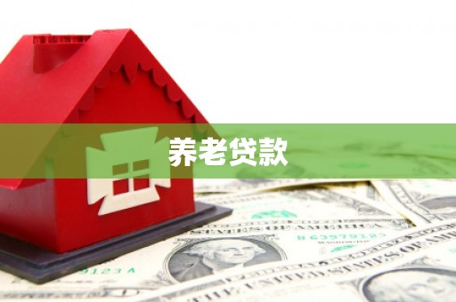 南州养老贷款