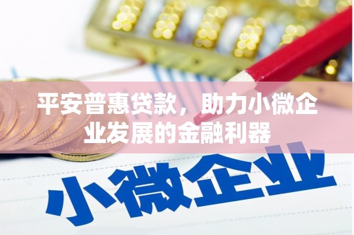 南州平安普惠贷款，助力小微企业发展的金融利器