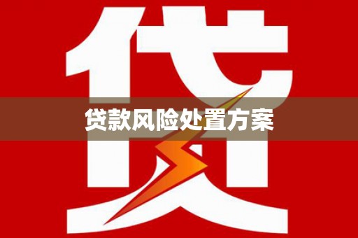 南州贷款风险处置方案