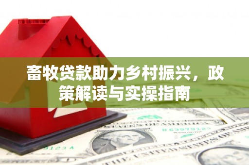 南州畜牧贷款助力乡村振兴，政策解读与实操指南