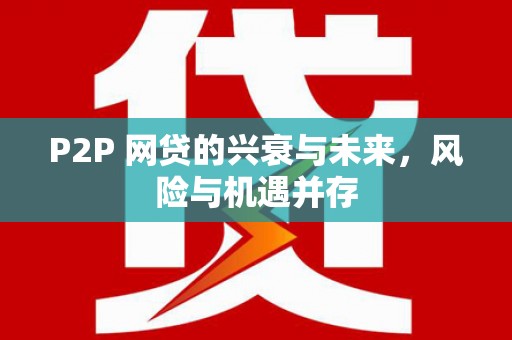 南州P2P 网贷的兴衰与未来，风险与机遇并存