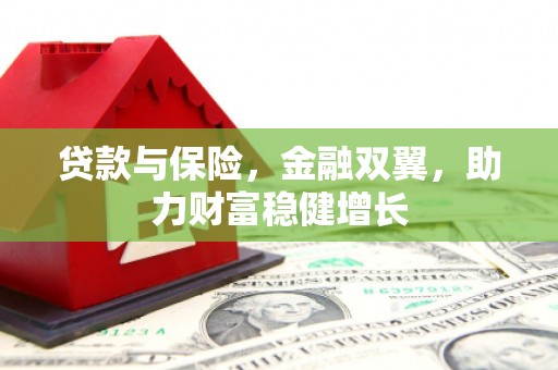 南州贷款与保险，金融双翼，助力财富稳健增长