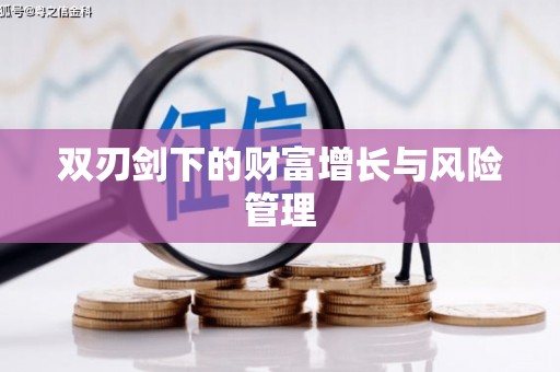 南州双刃剑下的财富增长与风险管理