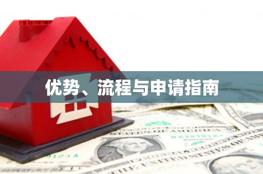 南州优势、流程与申请指南