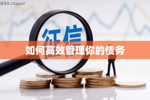 南州如何高效管理你的债务