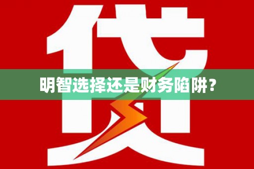 南州明智选择还是财务陷阱？