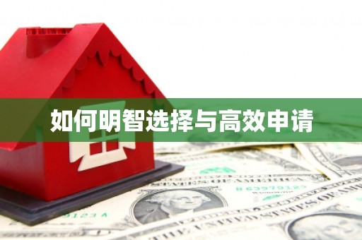 南州如何明智选择与高效申请