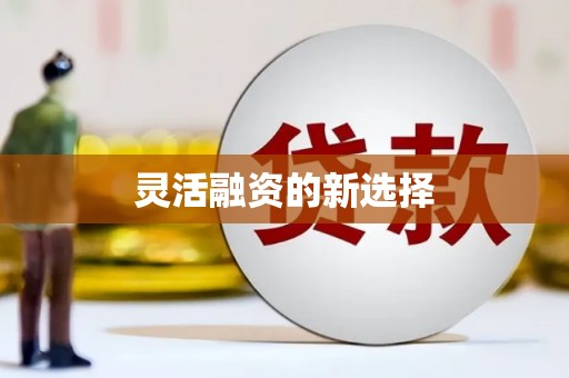 南州灵活融资的新选择