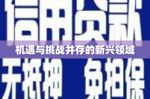 南州机遇与挑战并存的新兴领域