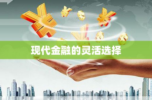 南州现代金融的灵活选择
