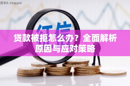 南州贷款被拒怎么办？全面解析原因与应对策略