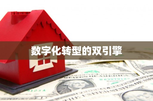 南州数字化转型的双引擎