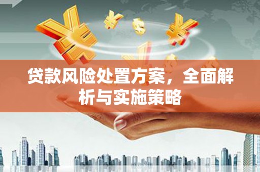 南州贷款风险处置方案，全面解析与实施策略