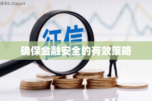 南州确保金融安全的有效策略