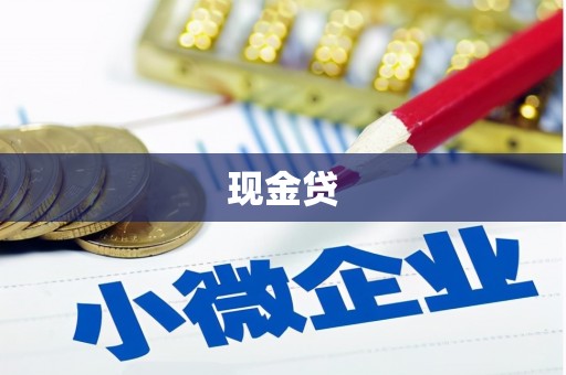 南州现金贷